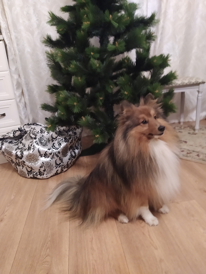 Ждём Деда Мороза с подарками! И сами вязаные подарки готовим малышам, рукавички да носочки