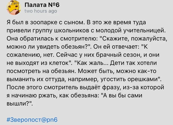 Смотря какие орешки - Скриншот, Палата №6, Обезьяна, Брачный период, Зоопарк, Анекдот