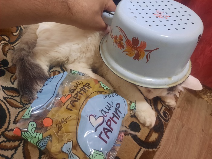         ! , ,  , , , , ,   