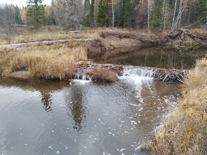 Вода журчит прямо кайф