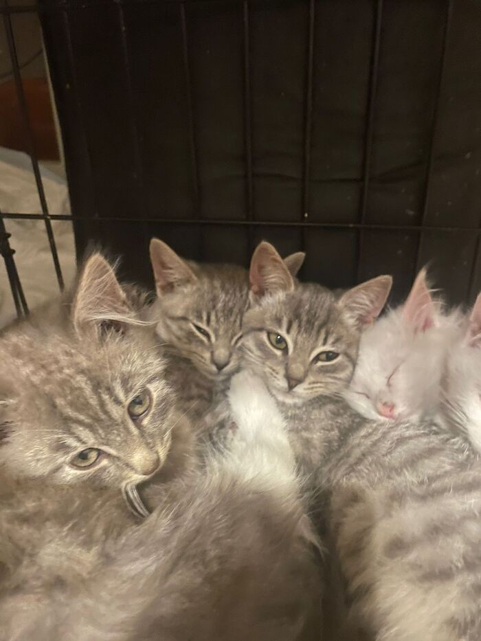 Спим. Всем спокойной ночи