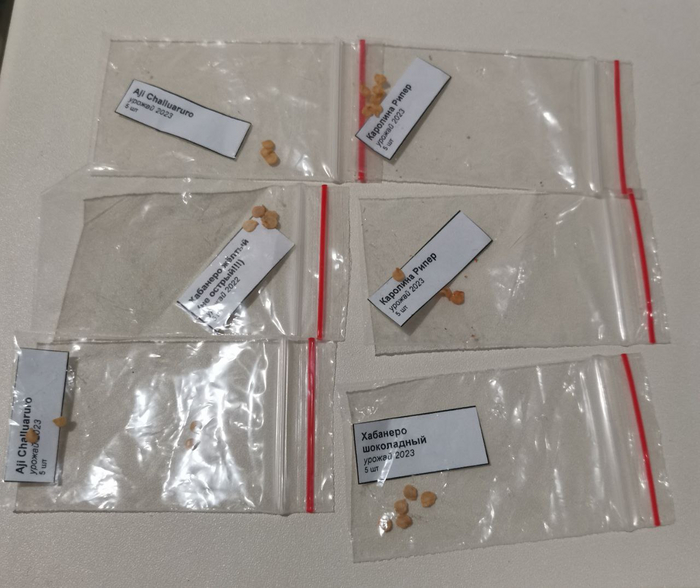 Carolina Riper 5 . 250 , Habanero Chocolate 5 . 100 , Aji Challuaruro 5 . 60 , Habanero Yellow  , .   2023 .&nbsp;