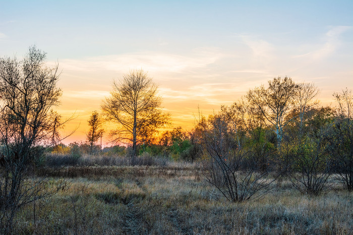 На поляне...
