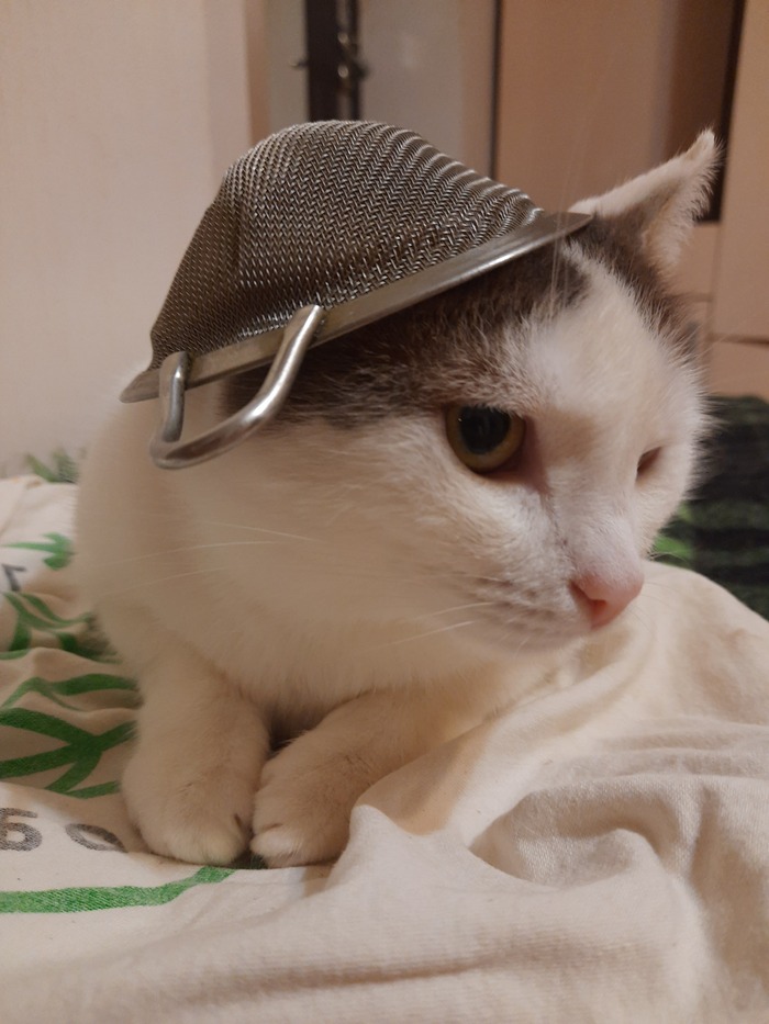    ,    ,  , , , , , 