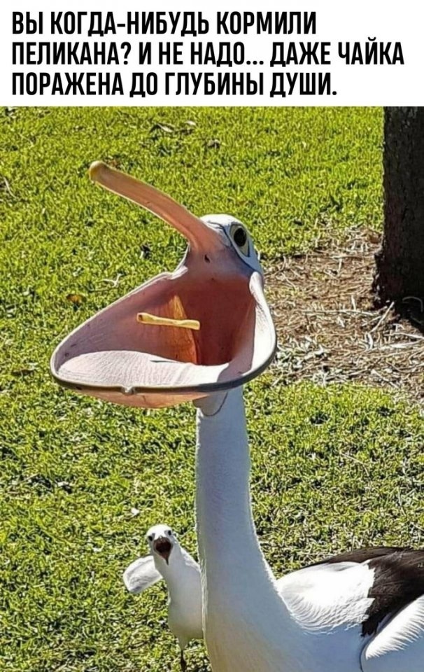 ���� �������� ����� ������� �����������, ��� ���� ��� �������...