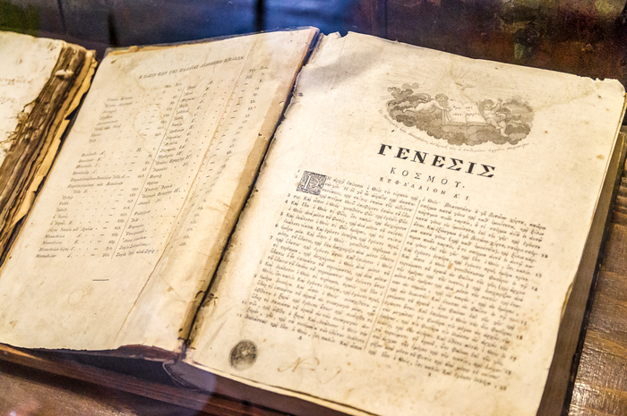 "Сотворение мира" (в том числе - котиков)