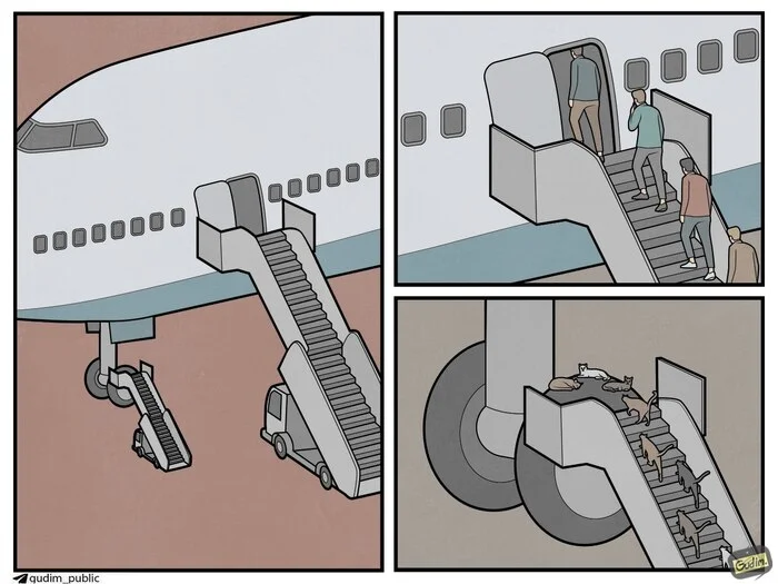 Cats - My, Gudim, Art, Humor, Comics, cat, Airplane, Ladder-gangway