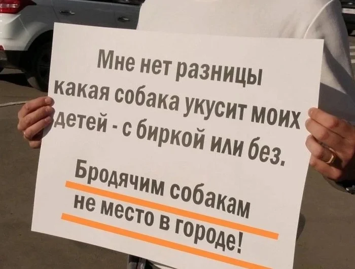 Зашел на страницу Следственного комитета Российской Федерации Вконтакте и посмотрел сообщения о нападении собак в октябре 2024 г.: - Бродячие собаки, Нападение, Происшествие, Негатив, Якутия, Башкортостан, Защита детей, ВКонтакте (ссылка)