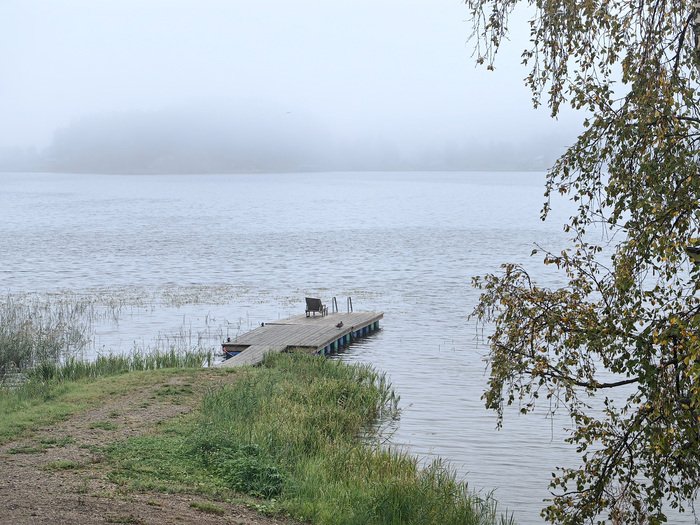 Туманная погода