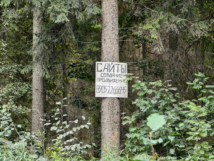 Объявление посреди леса