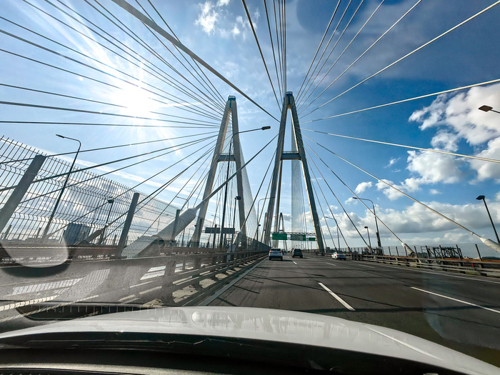 Дорога домой