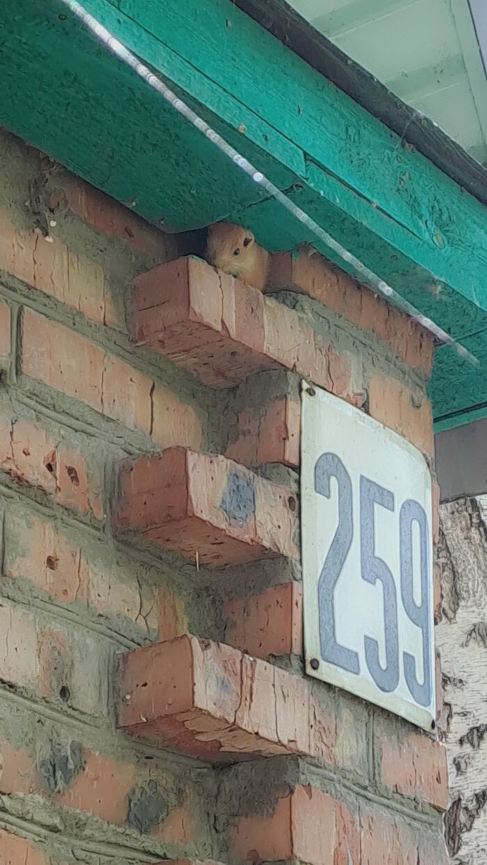 �� ��� ����, �� ������� ����������...