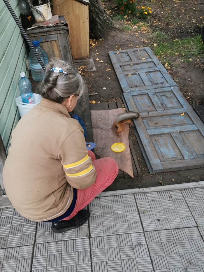 ���������� �� �������