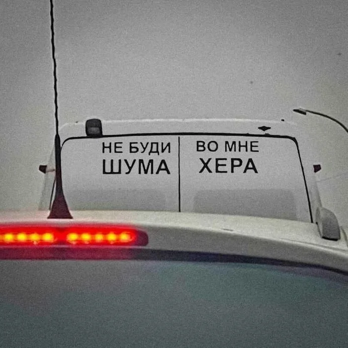 Не буди ШУМА - Две женщины орут на кота, Надпись на машине