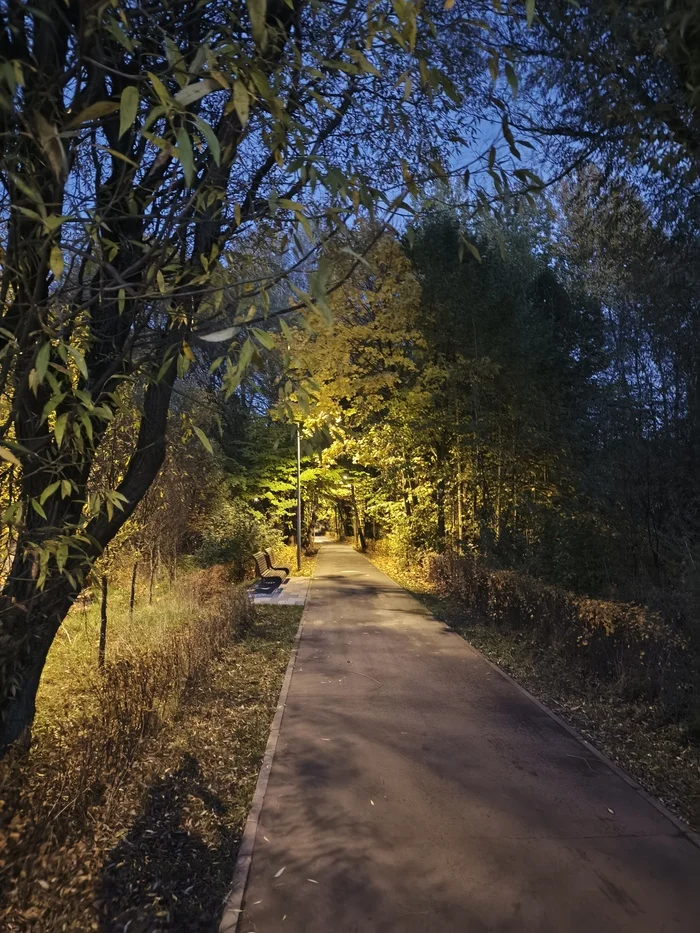 Evening park - My, Mobile photography, Moscow, Pokrovskoye-Streshnevo, Longpost