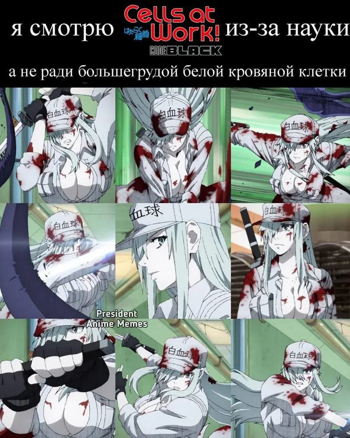 Мемс - Аниме, Аниме мемы, Картинка с текстом, Hataraku Saibou