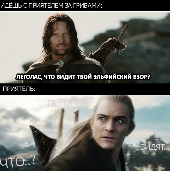    ,   , ,  , 