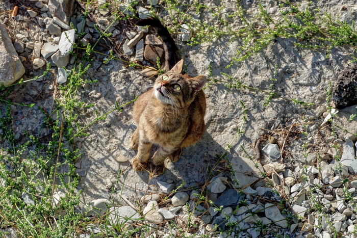 <a href="https://pikabu.ru/story/gelendzhik_11948449?u=https%3A%2F%2Fflic.kr%2Fp%2FPakQMd&t=%D0%BF%D0%BE%D0%BB%D0%BD%D0%BE%D1%80%D0%B0%D0%B7%D0%BC%D0%B5%D1%80&h=c6ba460c2f4a915af179cee30060cbdda03a038d" title="https://flic.kr/p/PakQMd" target="_blank" rel="nofollow noopener">полноразмер</a>