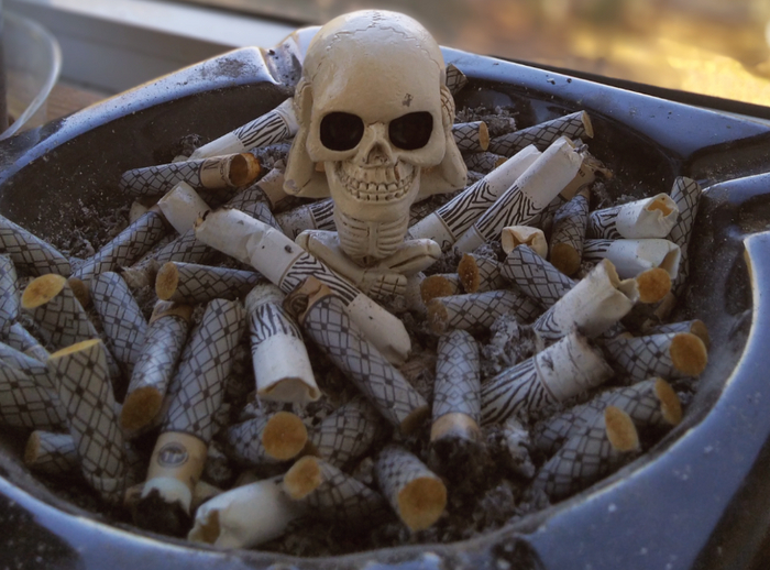 Здравые мысли