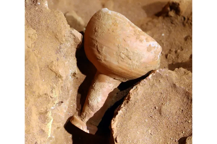 Archaeological sensation in Petra: ancient tomb with twelve skeletons discovered! - Ancient artifacts, History (science), Archeology, Informative, Country, Petra, Jordan, Near East, Antiquity, Civilization