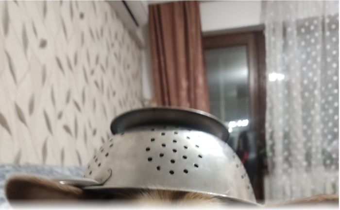 � ������