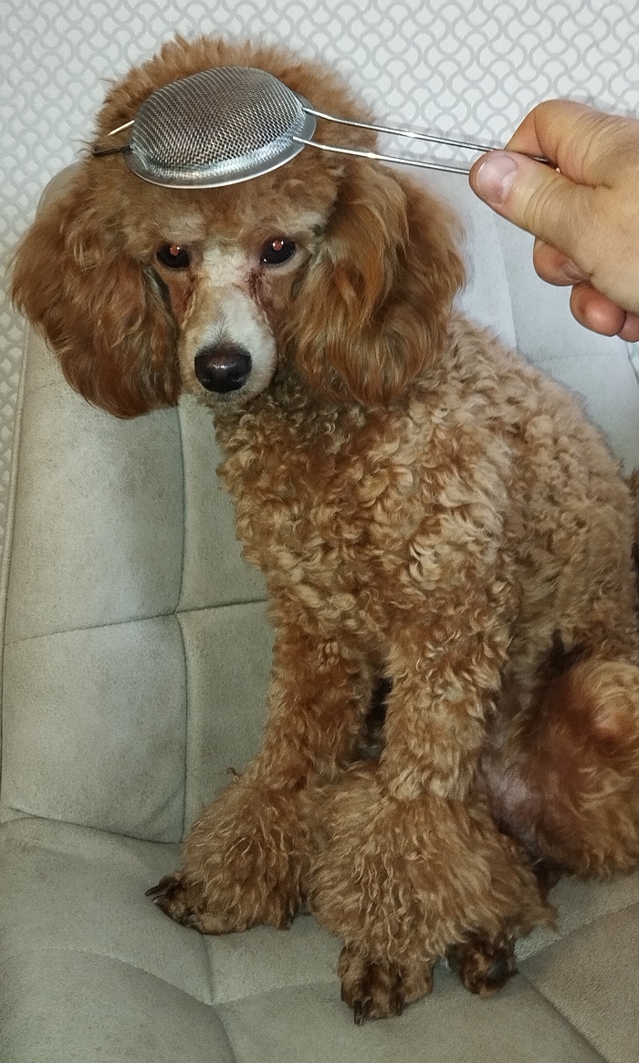 ������������� ������-����