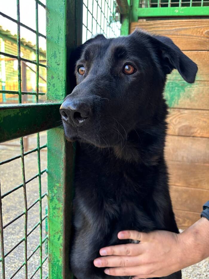 � ������ � ��� �������