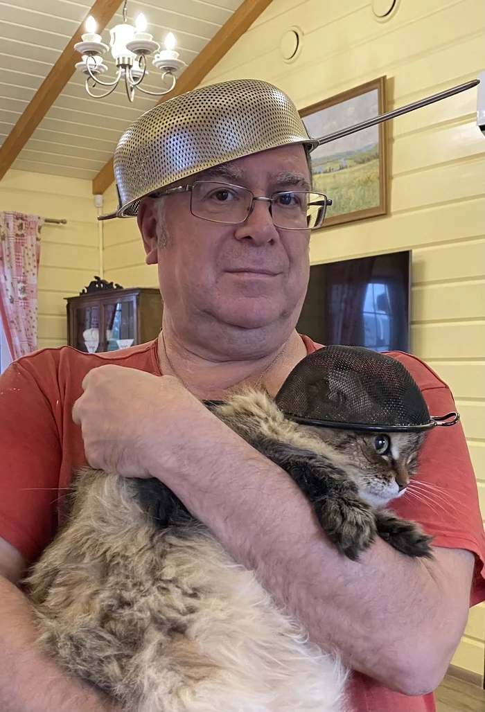 Bryuska and I also support the teacher! - My, Pastafarianism, The moral support, A wave of posts, Colander, cat, The photo