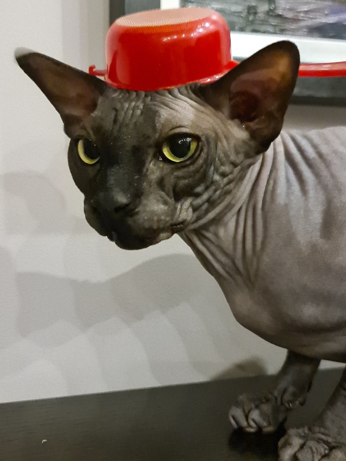 В поддержку учителя из Химок!