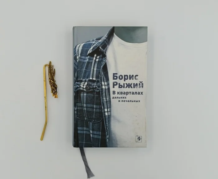 Борис Рыжий В кварталах дальних и печальных - Моё, Книги, Стихи, Библиотека, Отзывы на книги, Длиннопост