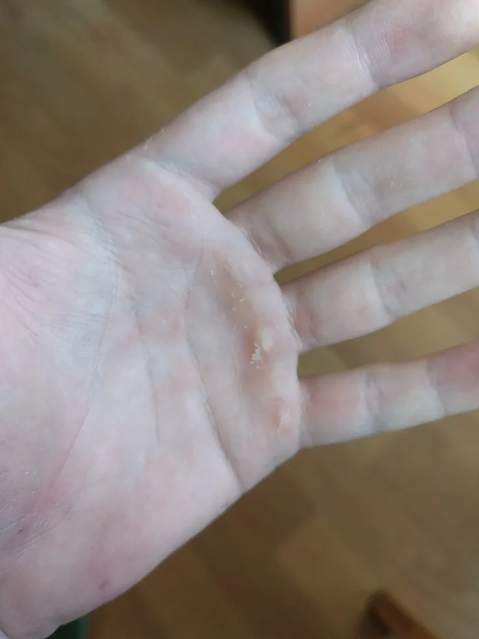 Harmful and not so harmful advice for beginner cyclists - My, Travels, A bike, Hyde, Video, Youtube, Longpost