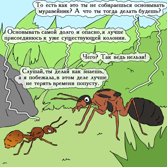 Start from scratch or join someone? - My, Insects, Comics, Humor, Myrmikiper, Ants, Longpost