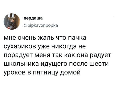 Пятничное - Скриншот, Twitter, Юмор, Школа, Пятница, Сухарики