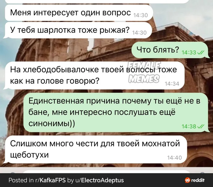 Синонимы - Reddit, Юмор, Синоним, Пошлость, Переписка, Скриншот