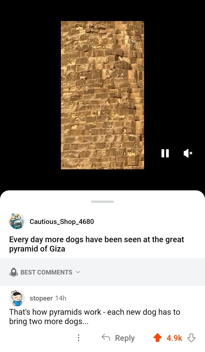 Pyramids - Translated by myself, Reddit, Pyramid, Financial Pyramide, Pyramid of Cheops, Dog, Comments, Video, Soundless, Vertical video, Longpost, Repeat