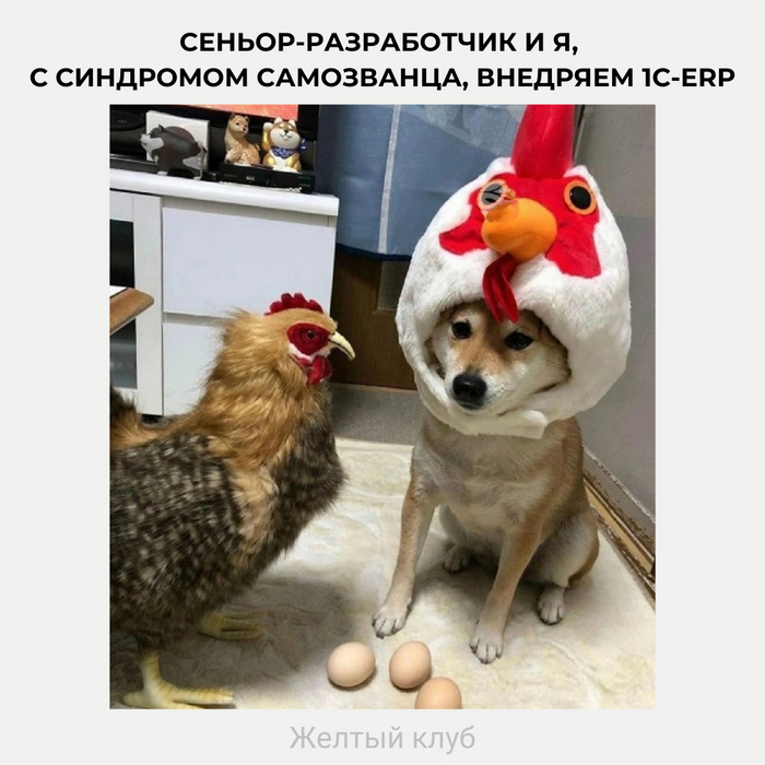   1, ,   , , , , IT 