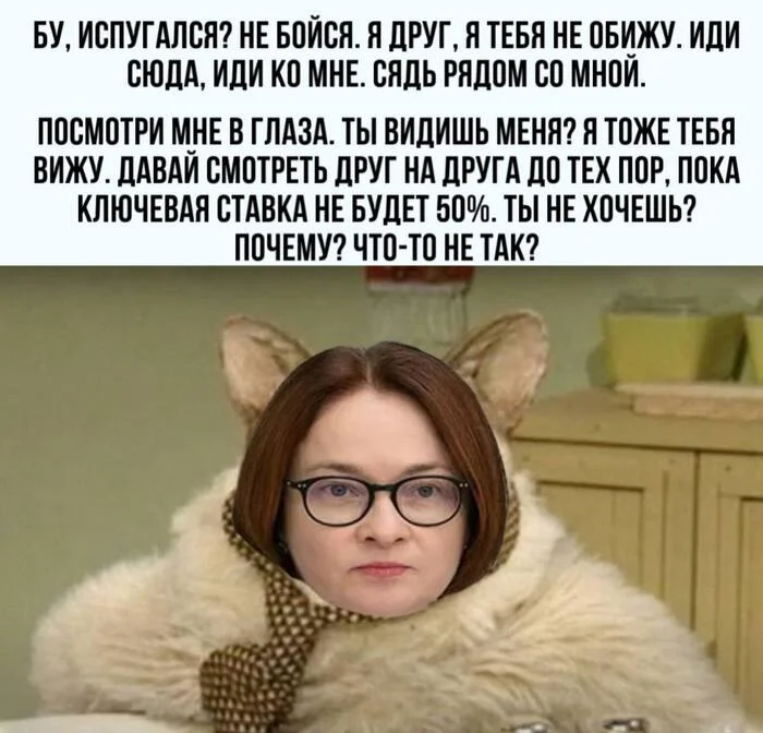 Congratulations on your promotion! - Central Bank rate, Central Bank of the Russian Federation, cat, Memes, Key rate