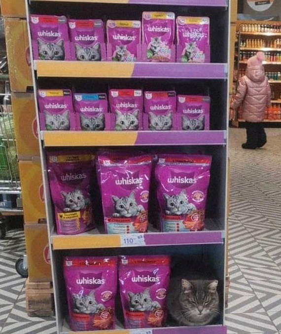 Когда у тебя на созвоне у одного камера