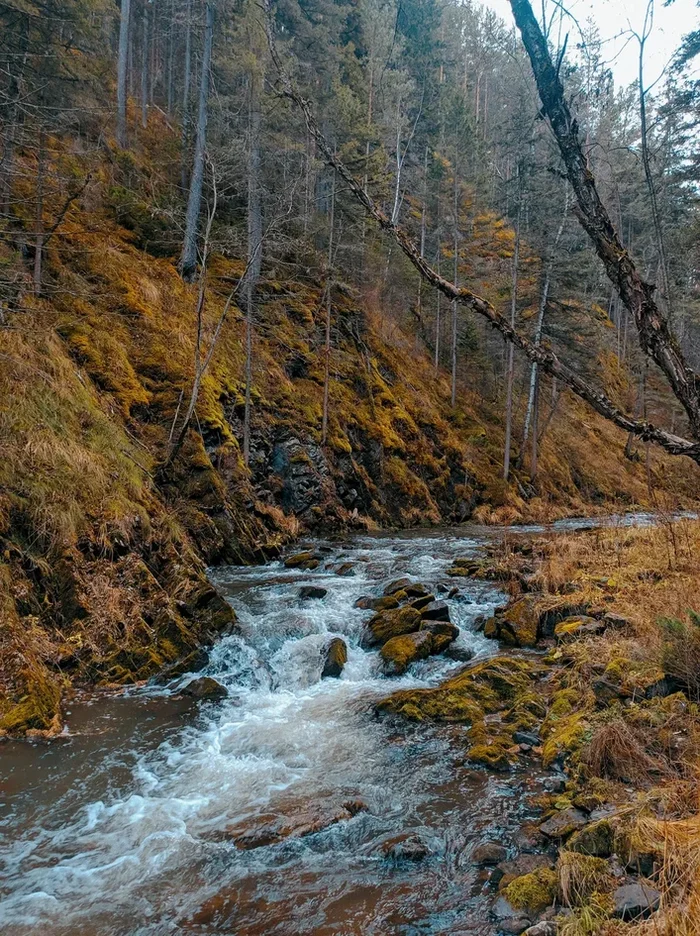 Салаирская тайга - Моё, Мобильная фотография, Вода, Салаир, Каньон, Тайга, Осень, Длиннопост