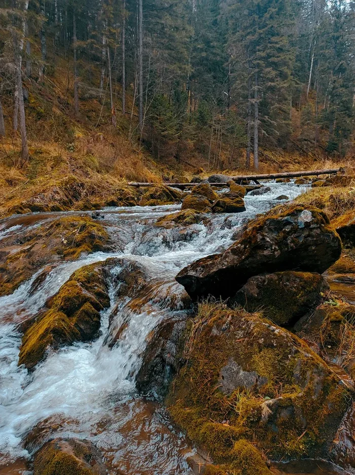 Салаирская тайга - Моё, Мобильная фотография, Вода, Салаир, Каньон, Тайга, Осень, Длиннопост