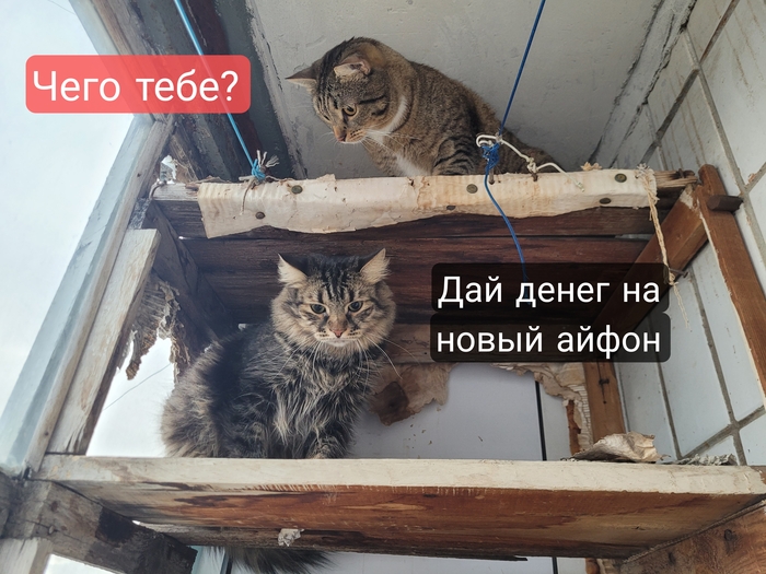 ,  ... , , , iPhone,  , 