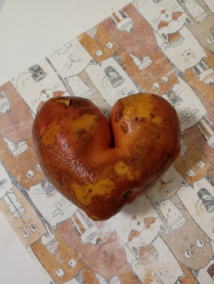 �������� ������ ��������