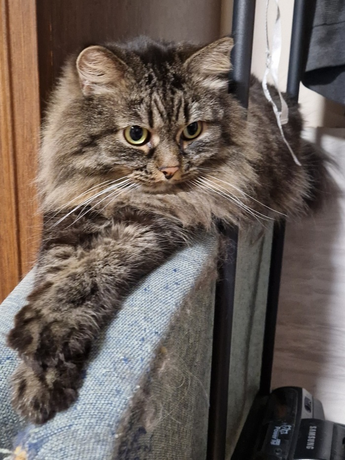 ���� ���� ������ ���. � ���� �����. ���� ���