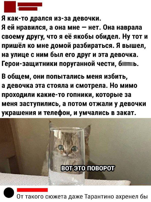   ,   , , , , Telegram (), 