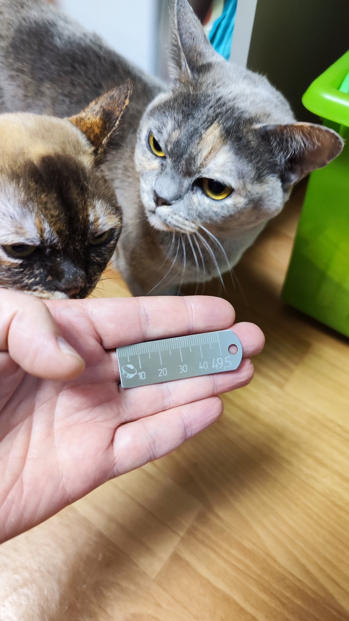 ���� ���� 49,5!