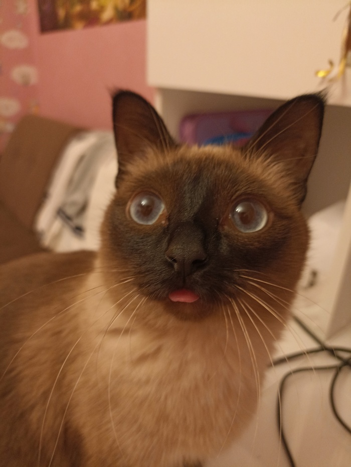 :3       , , , 