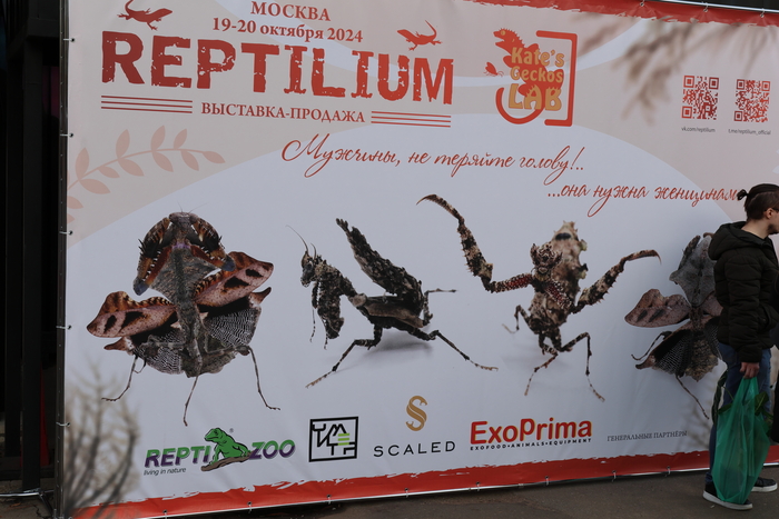 Богомольчики, моя прелесть