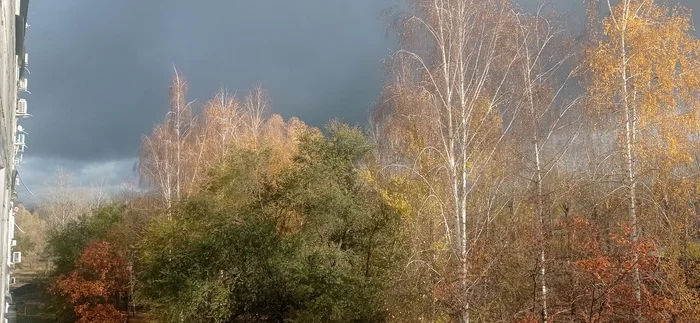 Rainbow - My, Thunderstorm, Weather, Rainbow, The photo