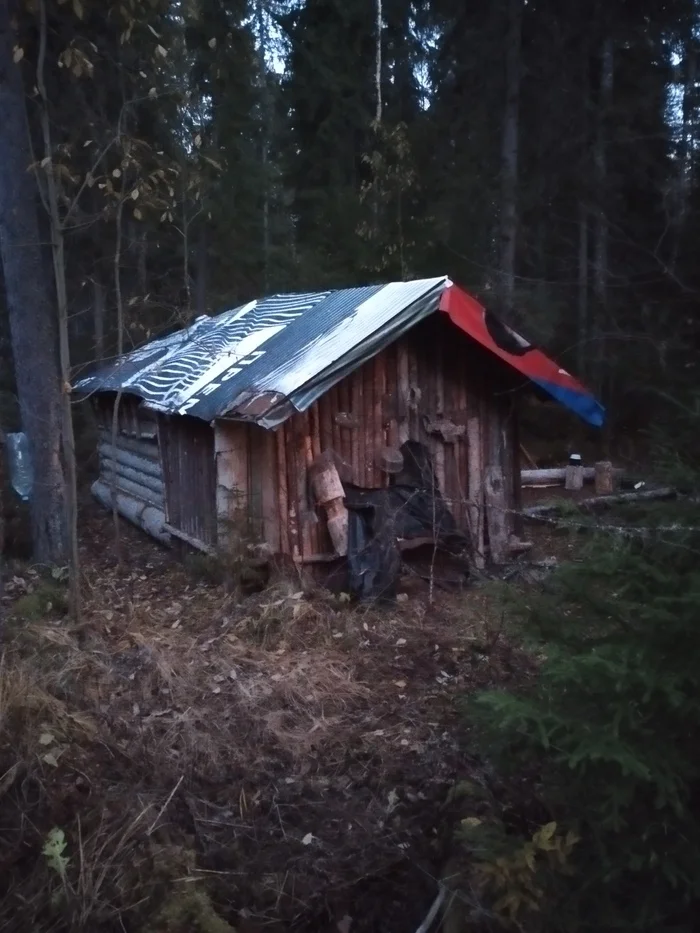 Dreams of many! Harsh realities! What problems do you think are hidden behind such huts?) - My, Hut, Forester, Walk in the woods, Nature, The nature of Russia, wildlife, Photo hunting, Longpost