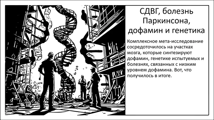 ADHD, Parkinson's Disease, Brain Volume. Common Genetic Pattern - My, Research, The science, Nauchpop, Brain, Scientists, ADHD, Dopamine, Parkinson's disease